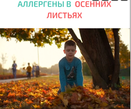 Снимок экрана 2023 10 06 152805